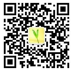 洗衣机千万别买滚筒_买滚筒滚筒洗衣机_洗衣滚筒买机多少钱