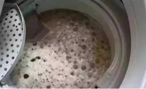 洗衣滚筒买机多少钱_买滚筒滚筒洗衣机_洗衣机千万别买滚筒
