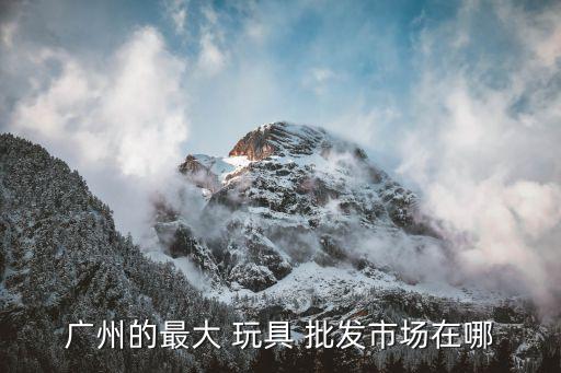 广州的最大 玩具 批发市场在哪