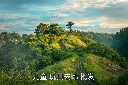 儿童 玩具去哪 批发